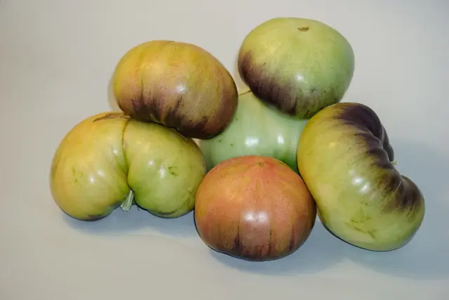 A cluster of ripe purple-black heirloom tomatoes with dark shoulders shading to green and gold, in a studio still life (representative photo).